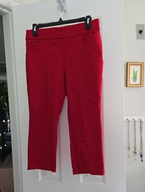 Briggs New York Cropped Pull-On Pants- 10